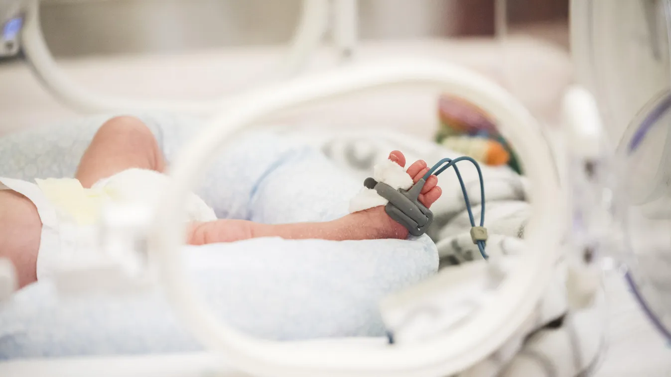 Koraszülött kisbaba, Koraszülöttek világnapja, Heim Pál Gyermekkórház Madarász Utcai Részlegének Koraszülött Osztálya 