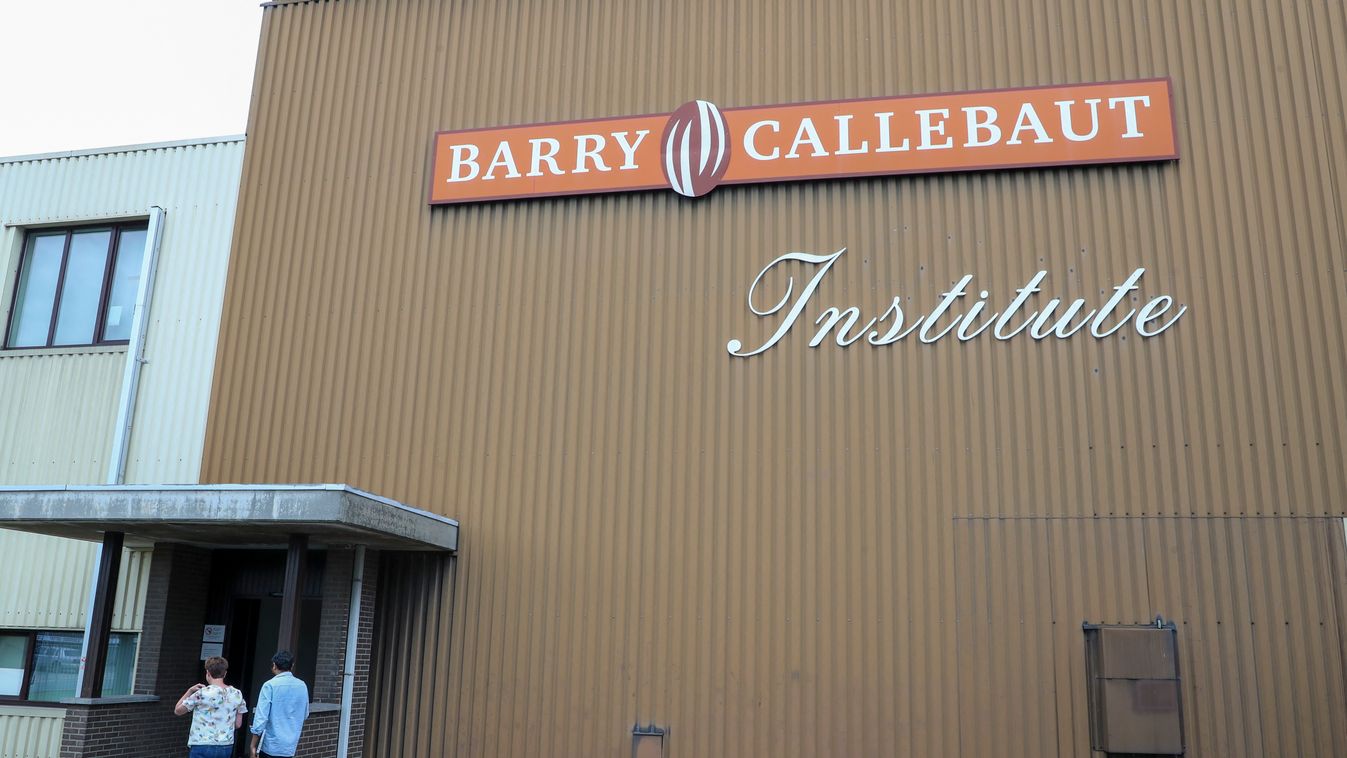csokoládé, gyár, Barry Callebaut, belga csokoládégyár, Belgium 