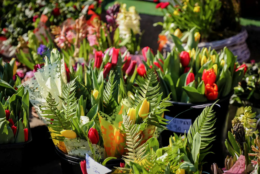 2021 március 8-án utolsó nap nyitvatartó virágbolt, a Brandt Virág Újpesten, virág, virágbolt, Nőnap, 2021 