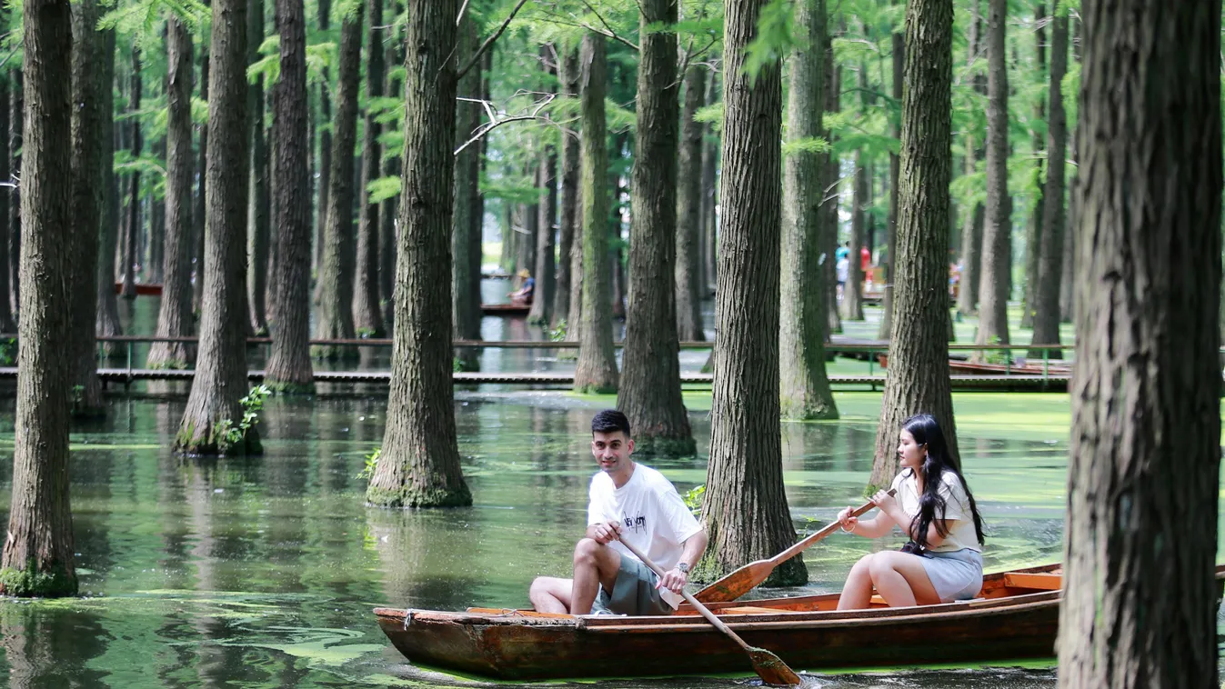 Vízi erdő Jangcsou 
