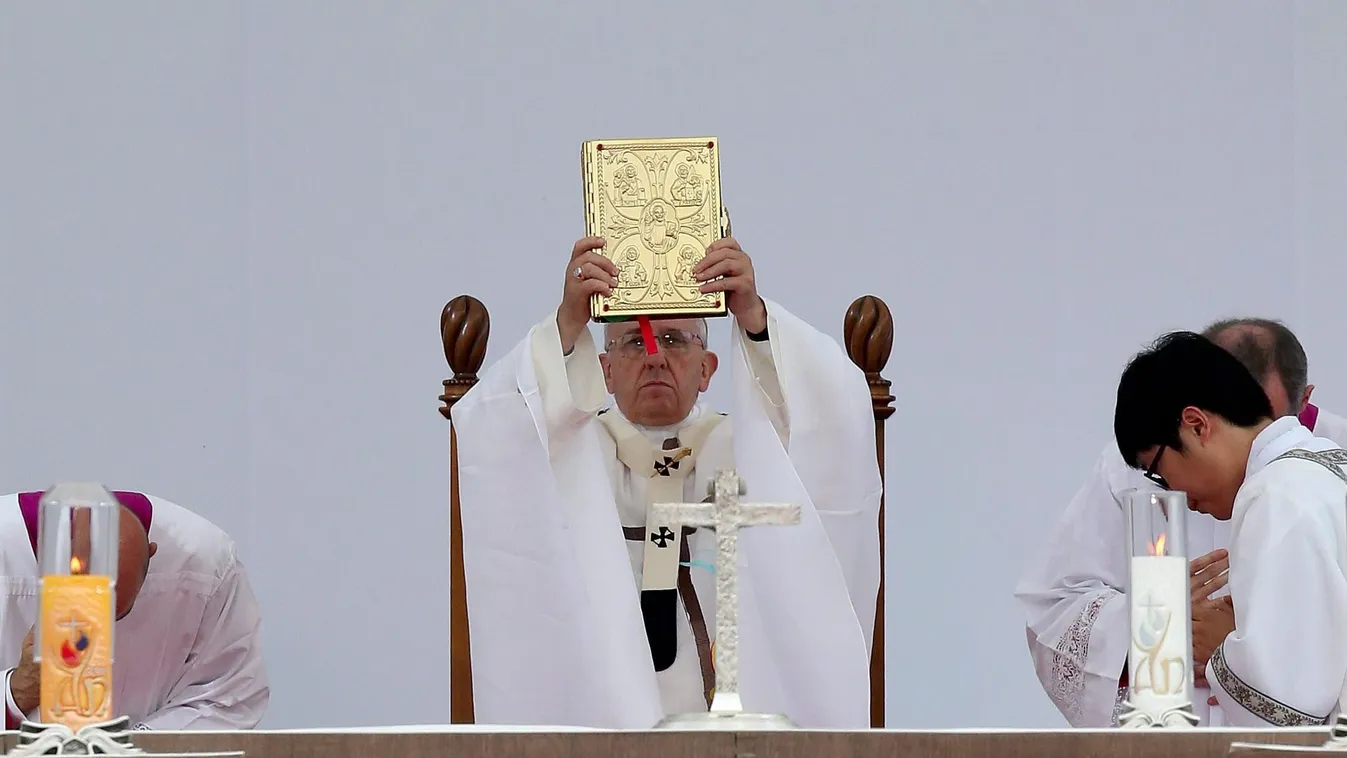 FERENC pápa Hemi, 2014. augusztus 17. 