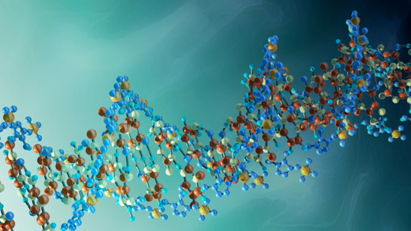 betolakodó gének, DNS-molekula, illusztráció 