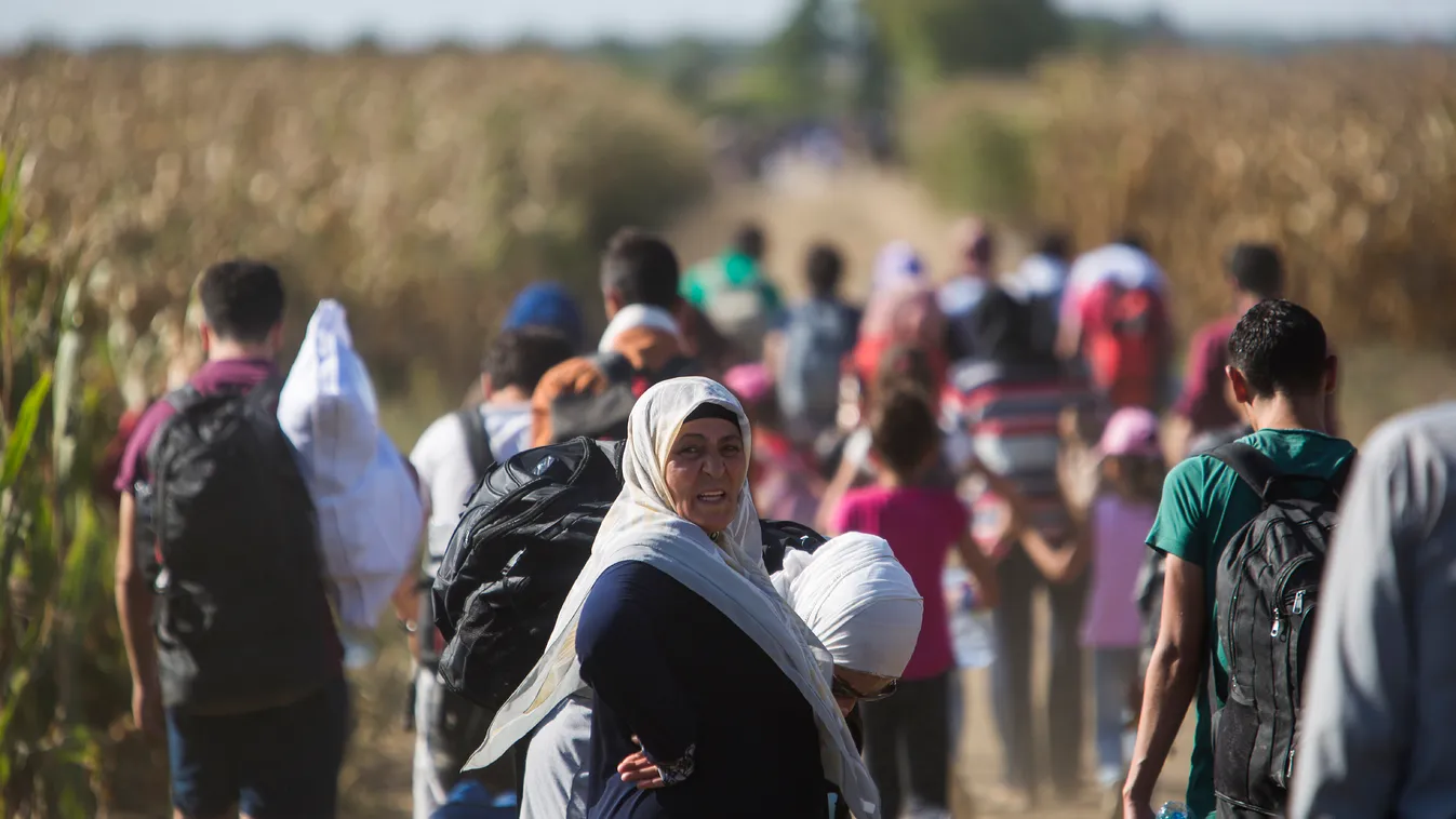 migráns menekült menekültek Sid  tivornik horvát-szerb 