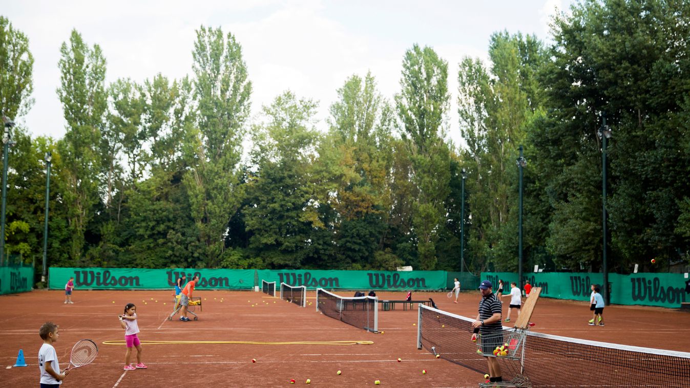 Tenisz Tenisz szövetség Richter Attila a Magyar Tenisz Szövetség főtitkára 