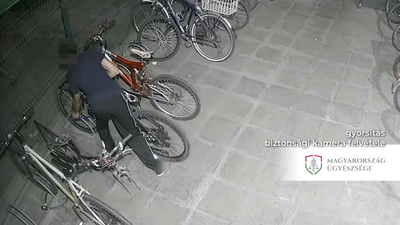 tolvaj, kerékpár, bicikli, lopós, lopás 