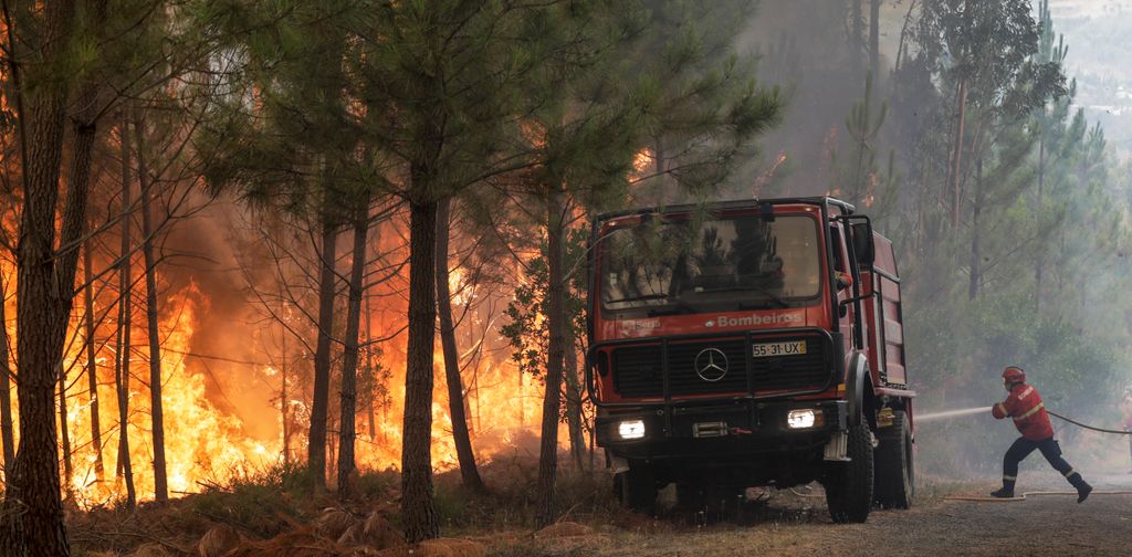 Portugália, erdőtűz, tűz, tűzoltó, Serta 