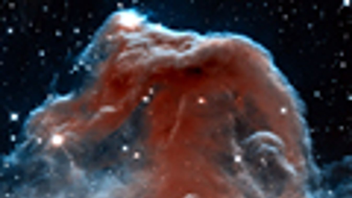Lófej-köd, Horsehead Nebula, Barnard 33