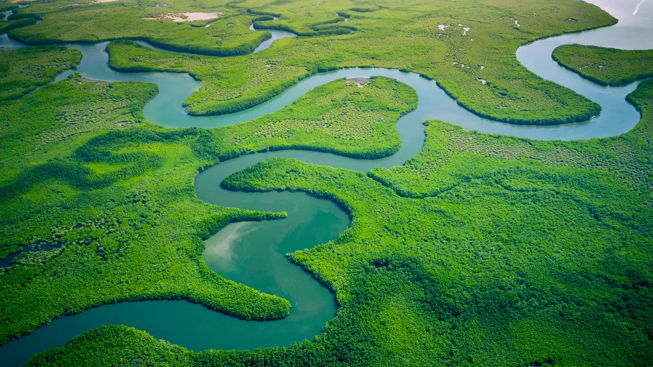 Afrika, Gambia 