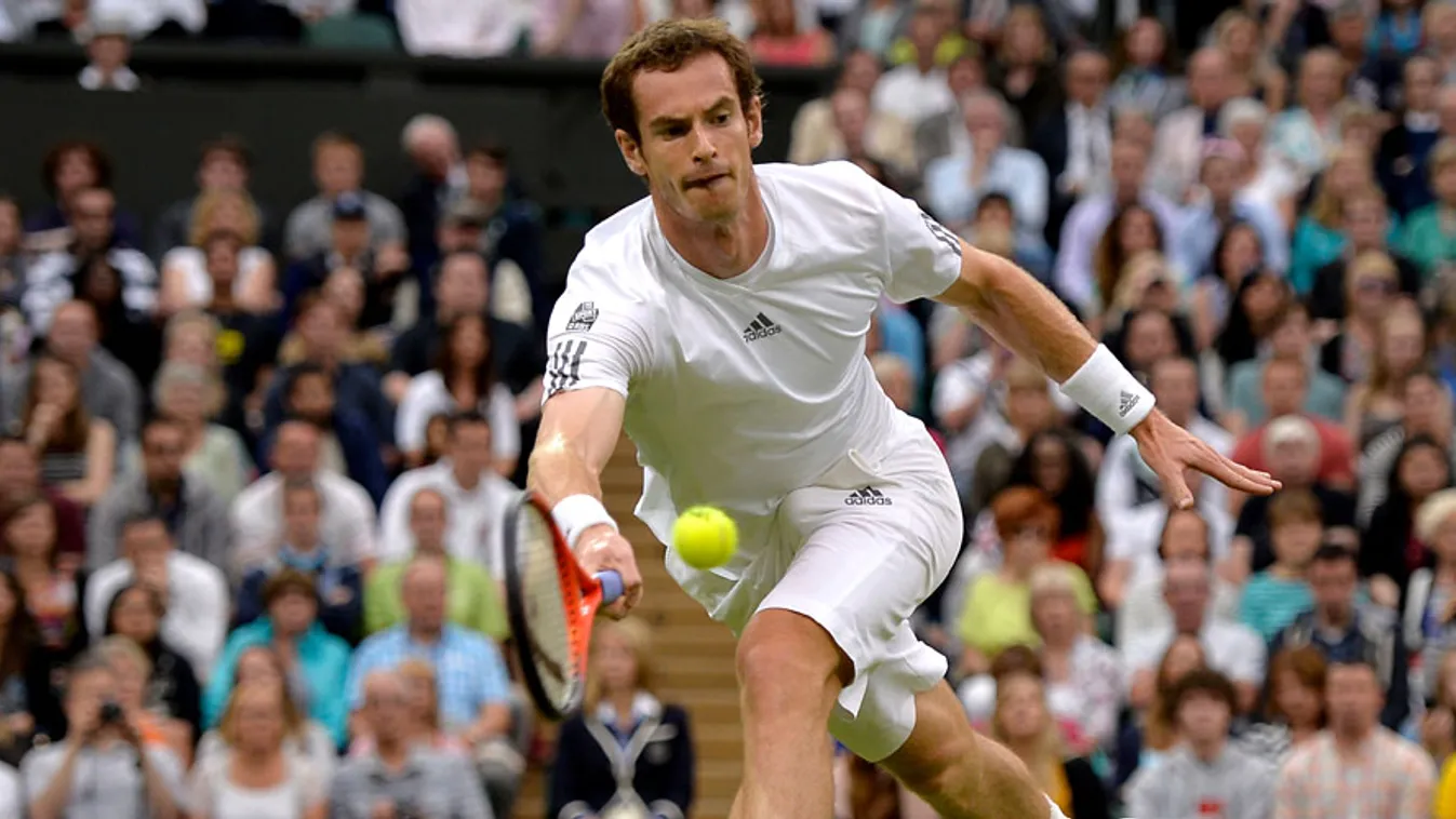 Andy Murray brit teniszező, Wimbledon, 2013