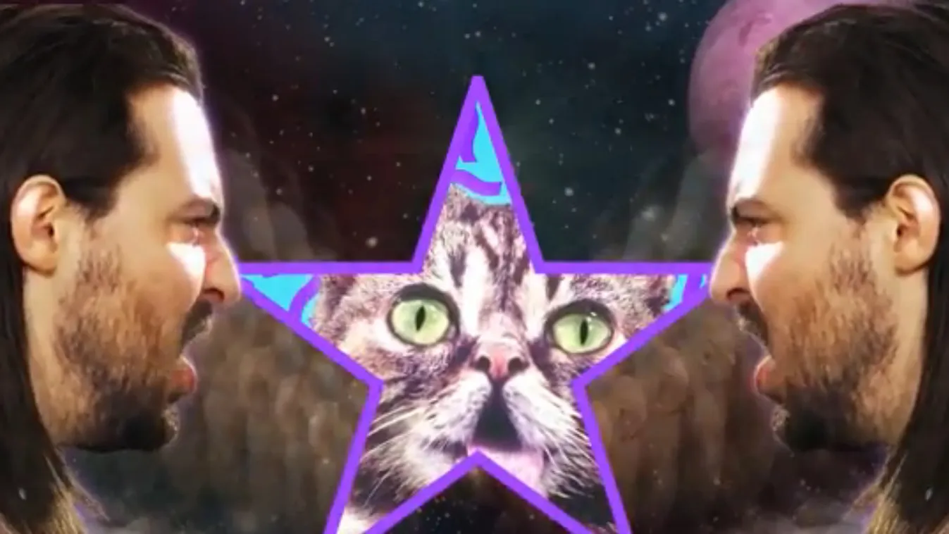Lil Bub, Andrew W.K., videoklip, cica 
