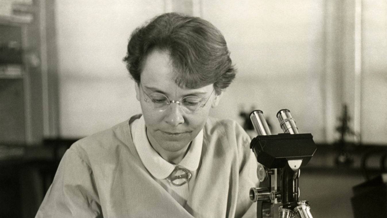 Dr. Barbara McClintock in laboratory 