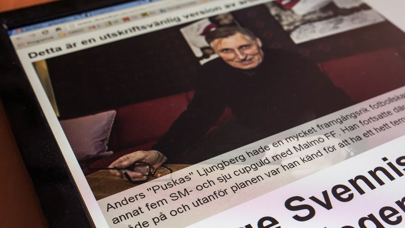 Anders Puskas Ljungberg cikk 