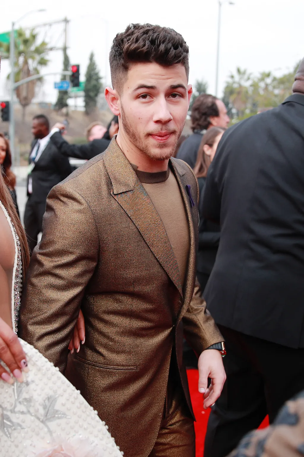 62nd Annual GRAMMY Awards Red Carpet GettyImageRank2 arts culture and entertainment Vertical 