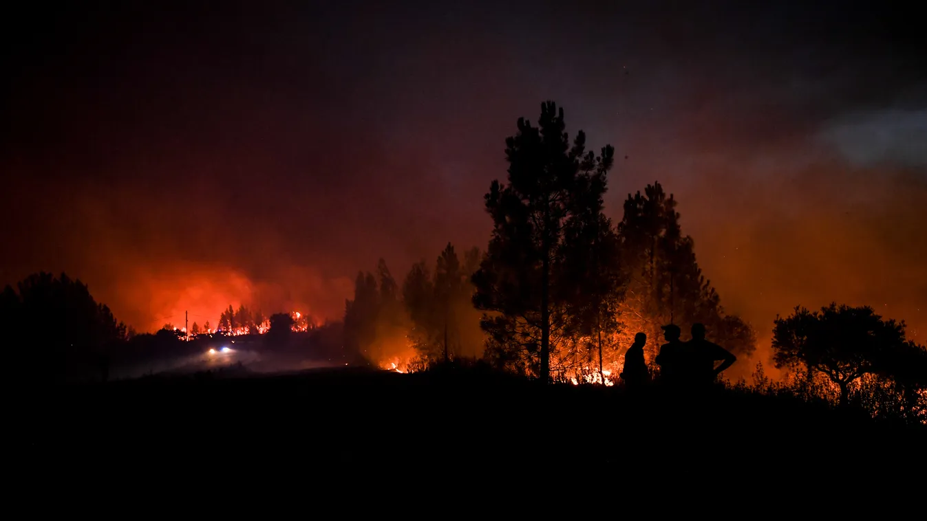 erdőtűz HORIZONTAL TOPSHOTS FOREST FIRE GENERAL VIEW 
