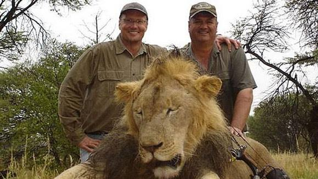 Shame Lion Killer Dr Walter Palmer and River Bluff Dental, Cecil oroszlán, Zimbabwe, fogorvos, walter palmer 