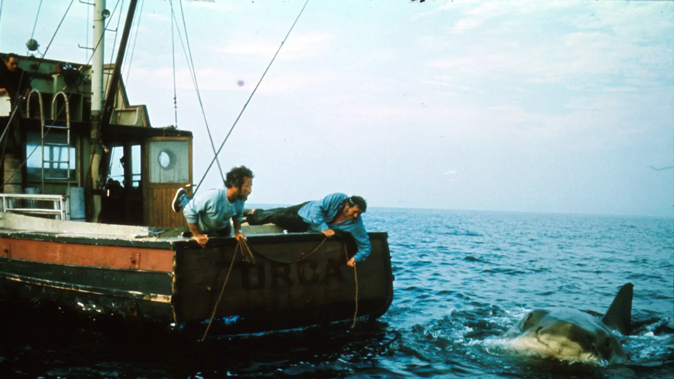Jaws (1975) USA Cinéma requin SHARK squale bateau navire vaisseau BOAT ANIMAL animaux marin Animal sailor HORIZONTAL 