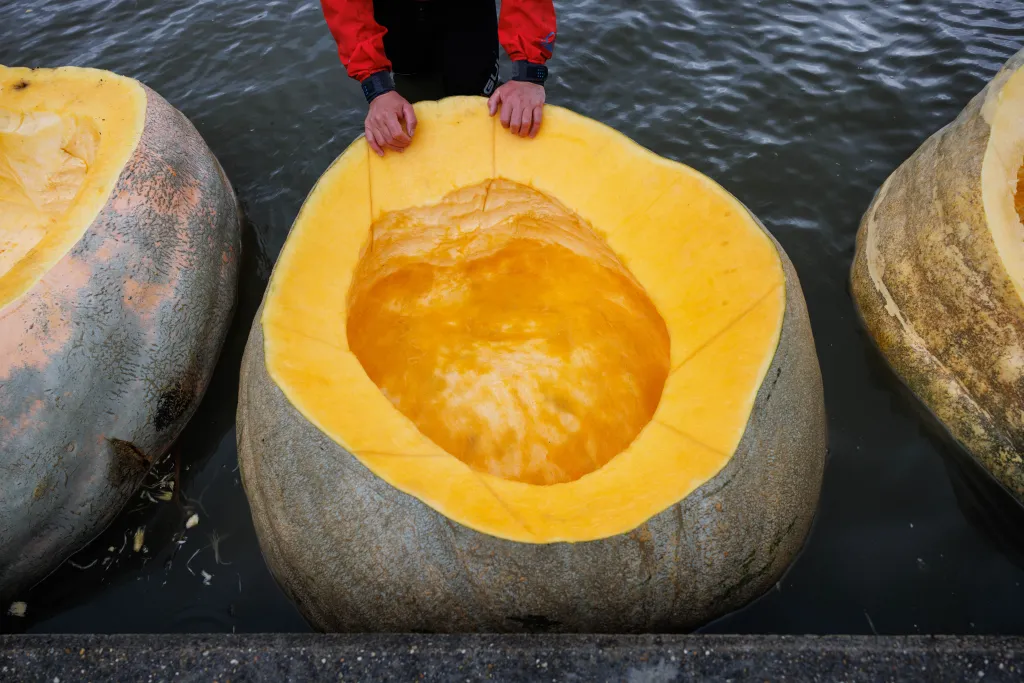 pumpkin lifestyle kayak Horizontal OFFBEAT tök regatta belgium verseny evezés sütőtök 