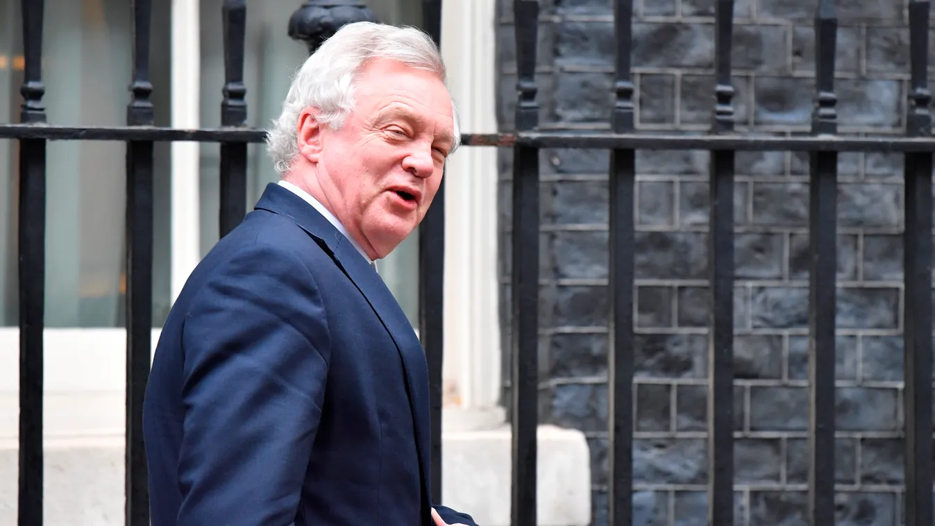 politics Horizontal Britain's Secretary of State for Exiting the European Union (Brexit Minister) David Davis leaves 10 Downing Street after attending the weekly meeting of the Cabinet in central London on November 14, 2017.
British Prime Minister Theresa