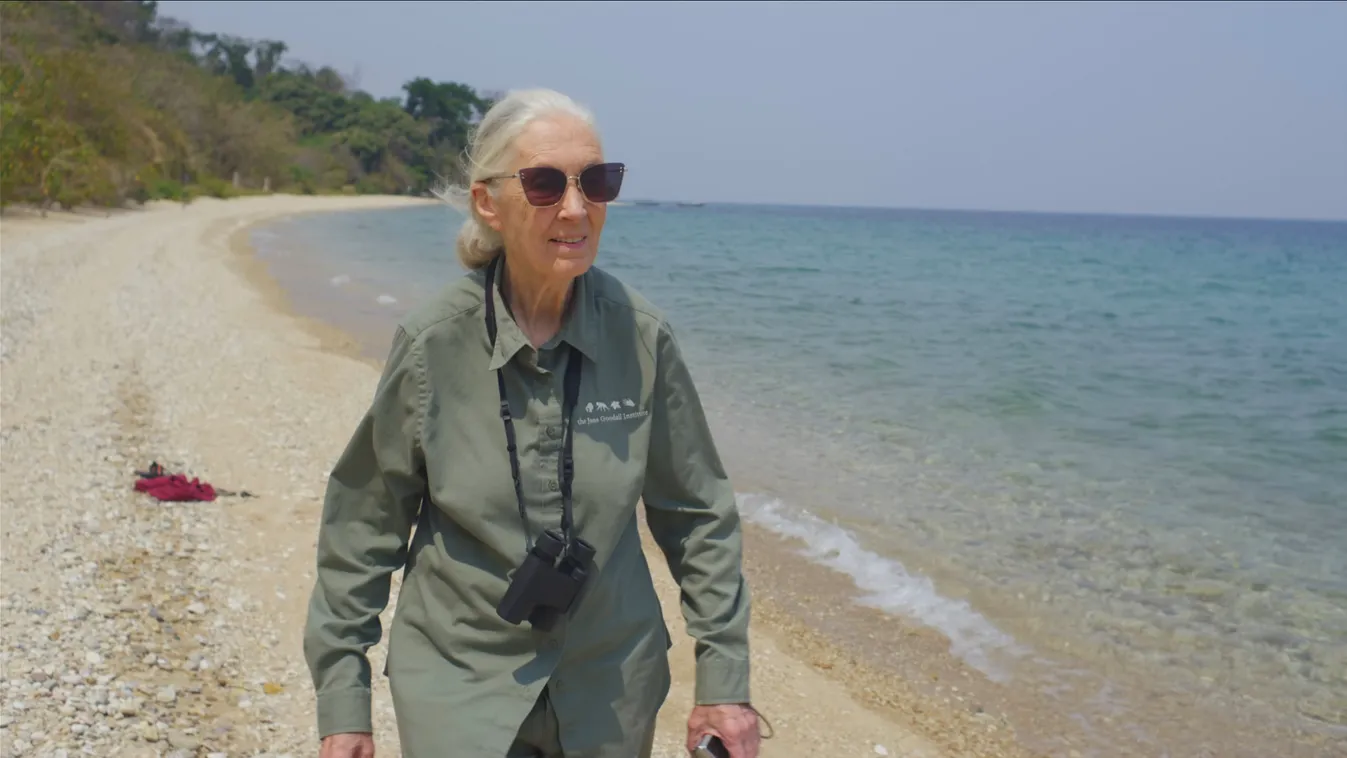 83136 Dr. Jane Goodall walking along the beach of Lake Tanganyika. National Geographic's JANE GOODALL: THE HOPE picks up where JANE (2017) left off, following Jane Goodall through three generations of advocacy work as she meets with everyone from schoolch
