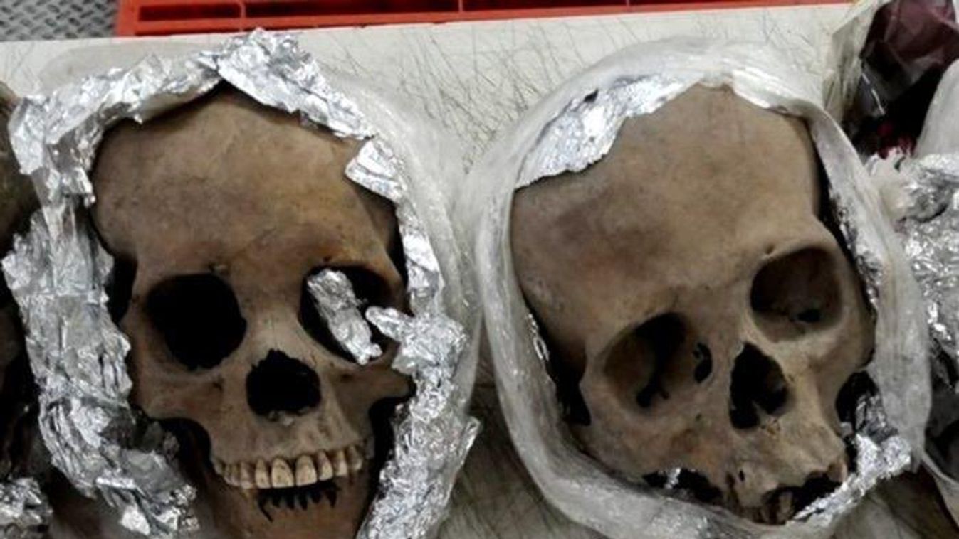 Emberinek tűnő koponyákat találtak egy mexikói nemzetközi repülőtéren 