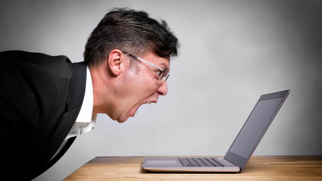 Man screaming at laptop Computer Businessman Men Facial Expression Adult Furious Caucasian Ethnicity Frustration Failure Problems Rudeness Surprise Business Technology Violence Human Face Internet Laptop Desk Table Man sitting at the table and screaming a
