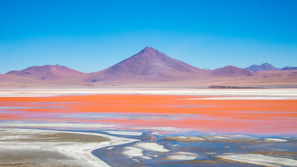 Vörös, tó, Bolívia, Laguna, Colorada, 