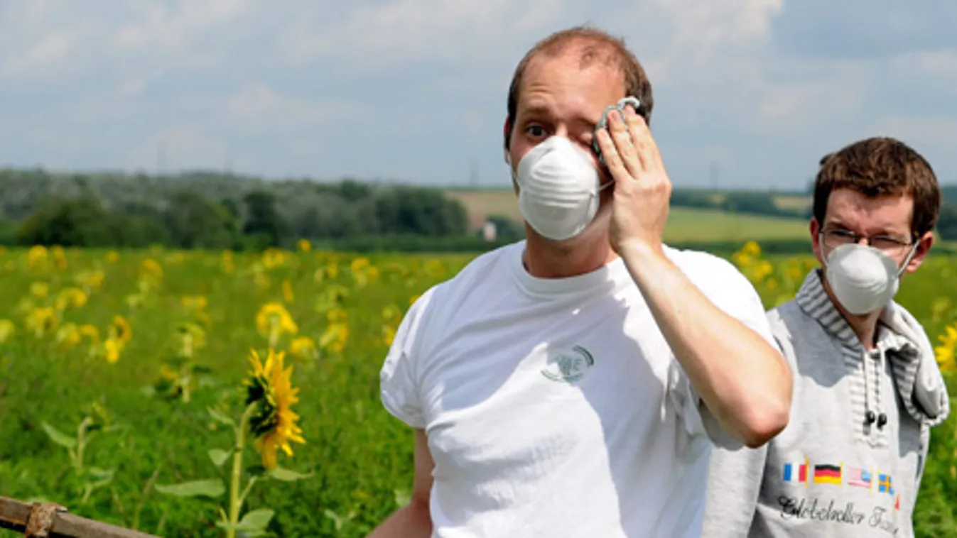 parlagfű, parlagfűirtás, szénanátha, allergia, pollen, Parlagfűmentes Magyarországért Egyesület  aktivistái