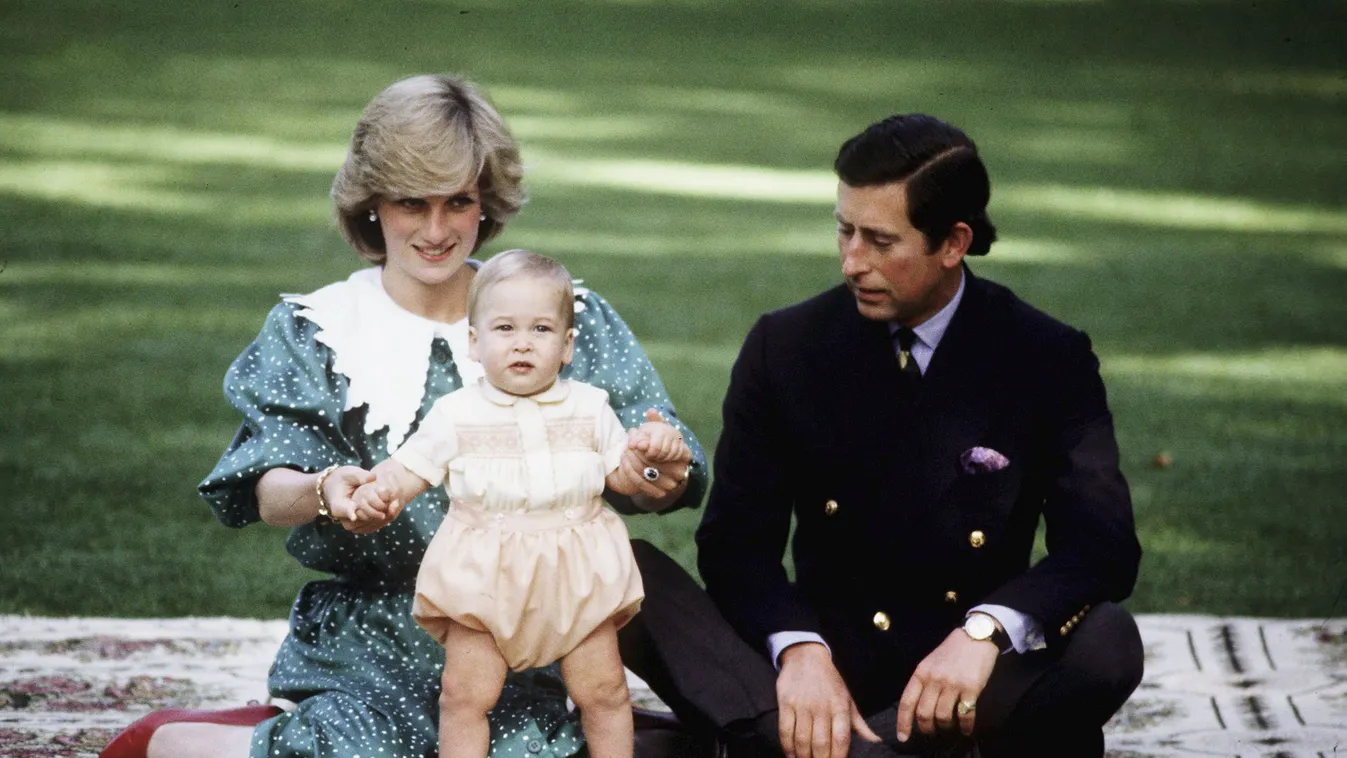 Diana walesi hercegné, Lady Diana, Vilmos herceg, 1983 