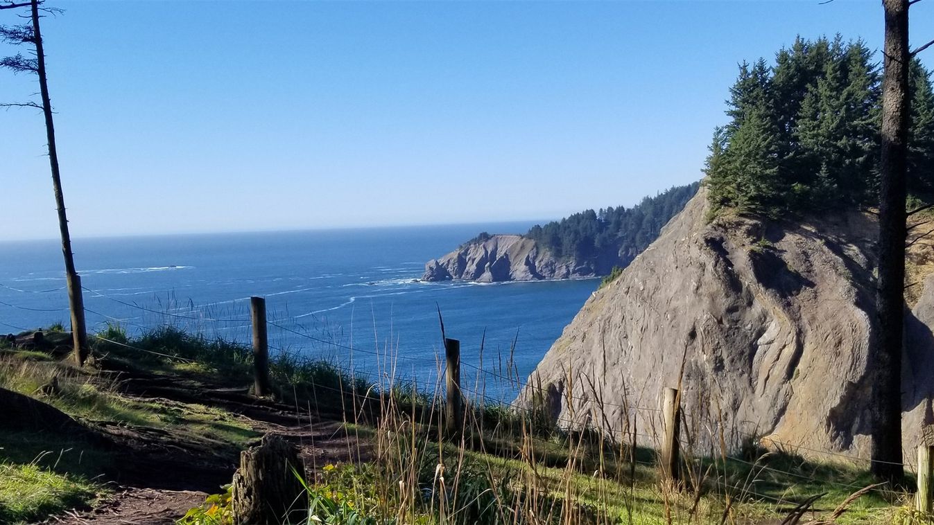 Oregon, fa, szikla, óceán, baleset 