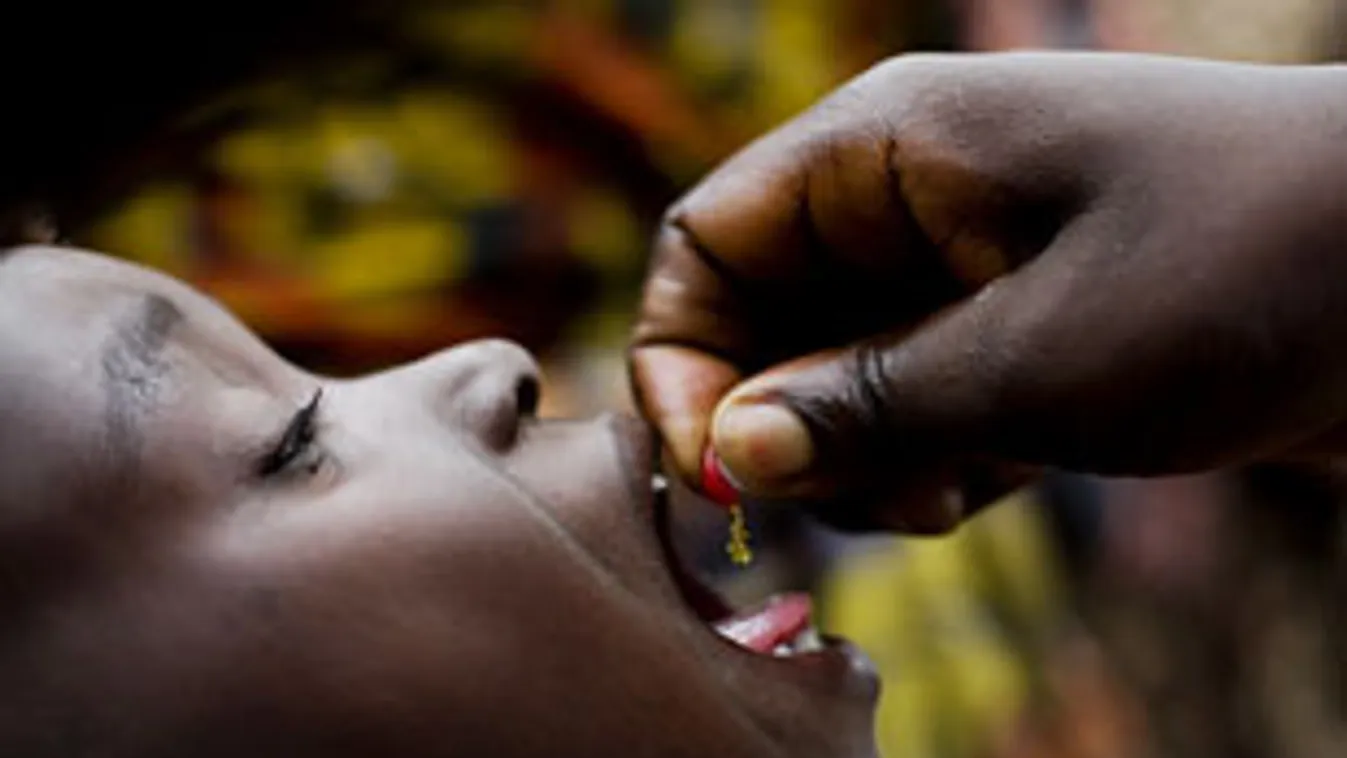 támadások a gyermekbénulás elleni oltásokat végző egészségügyi dolgozók ellen, Kongói Demokratikus Köztársaság, az UNICEF menekült tábora Kibatiban 2008