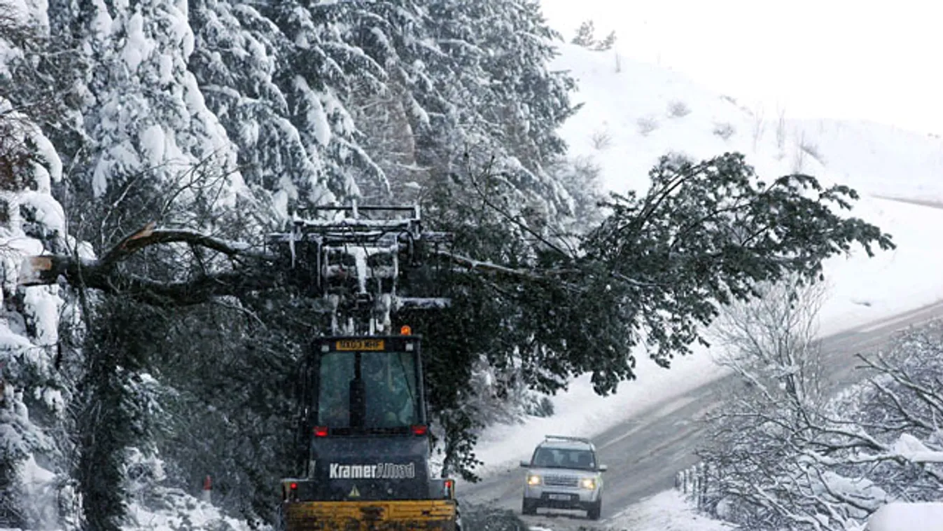 havazás európában, hó, téli időjárás, Yorkshire, Anglia, kidőlt fa 