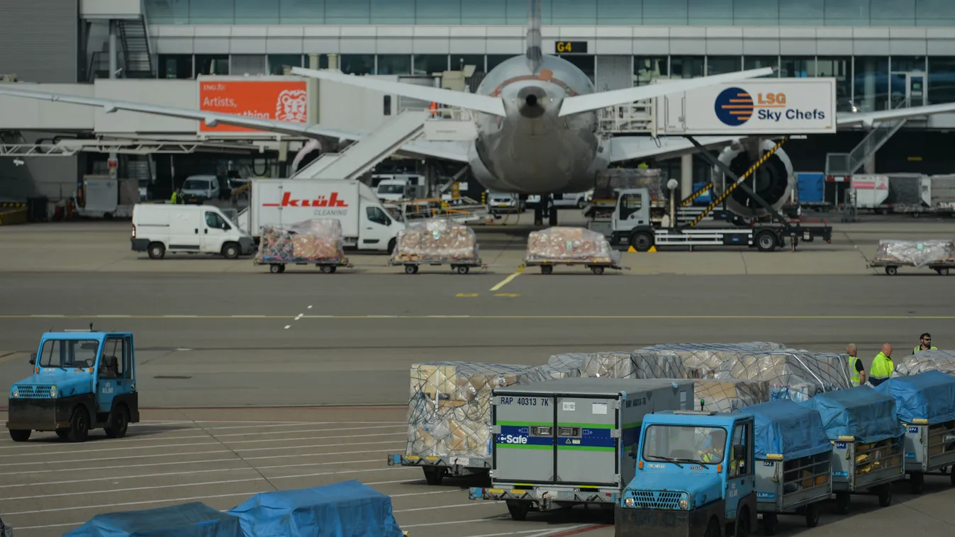 Amsterdam Airport Schiphol During COVID-19 Pandemic 2021 Air France - KLM group Amsterdam Airport Schiphol COVID-19 Cathering Services Coronavirus Covid-19 Test Delta Covid-19 Delta variant KLM Royal Dutch Airlines KLM logo Koninklijke Luchtvaart Maatscha