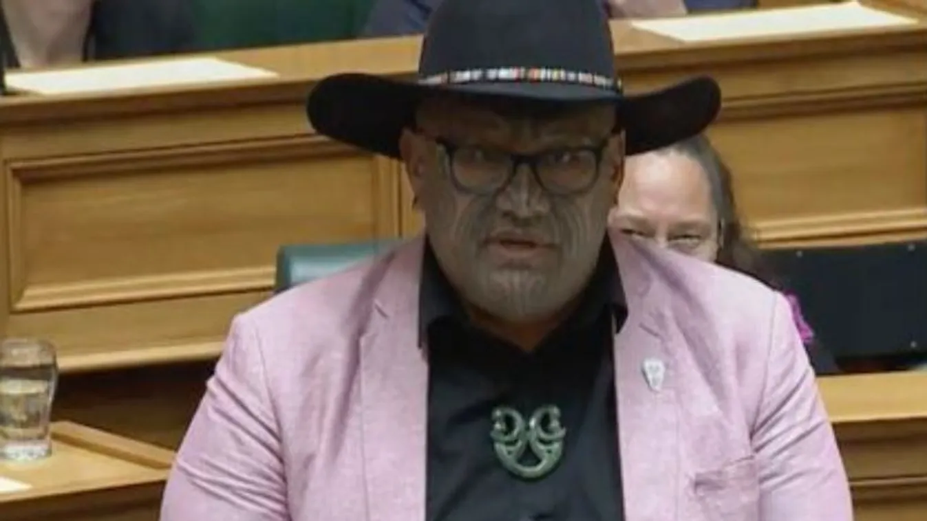 Rawiri Waititi, Maori Párt, Új-Zéland, parlament, 