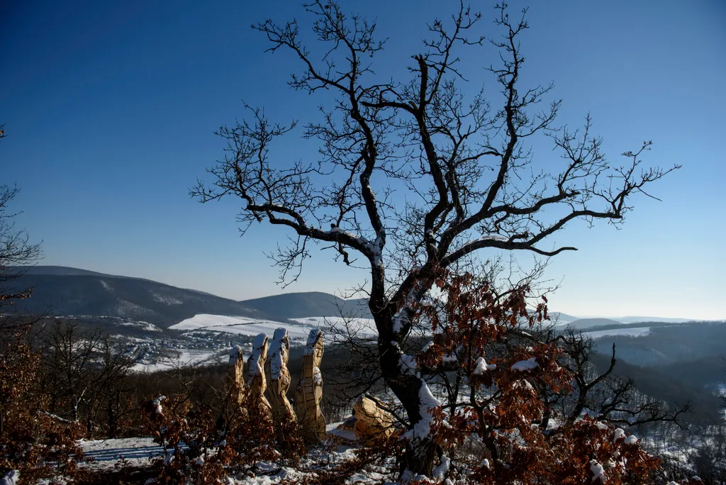 Felsőtold, kilátó ÉPÍTMÉNY ÉVSZAK fa FOTÓ FOTÓTÉMA havas IDŐJÁRÁS kilátó kortárs művészet MŰVÉSZETI STÍLUS TÁJ tájkép tél tenyér formájú kilátó természetfotó 