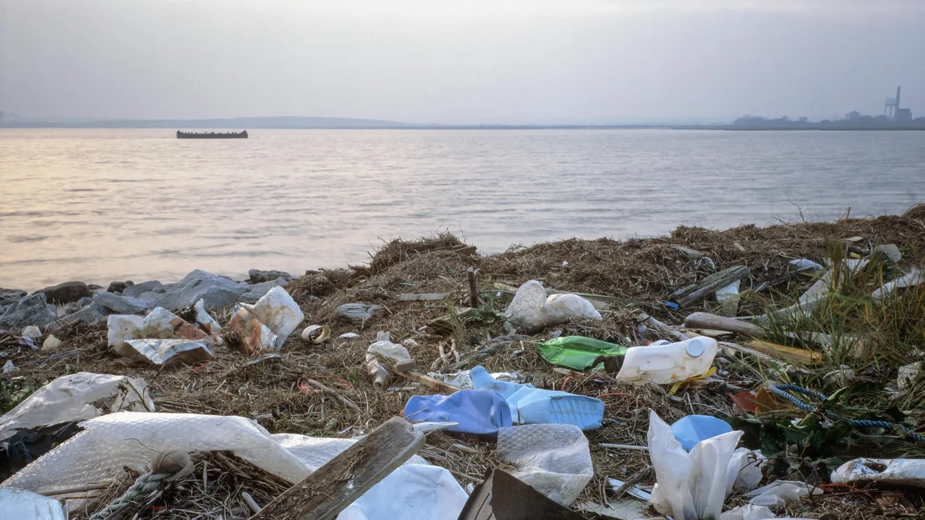 Temze műanyag Plastic rubbish on shore COAST COASTAL CONTAINERS DAMAGE DETRITUS DISCARDED DISPOSAL DUMPED DUMPING ENVIRONMENT ENVIRONMENTAL ESTUARY FLOTSAM LITTER 
