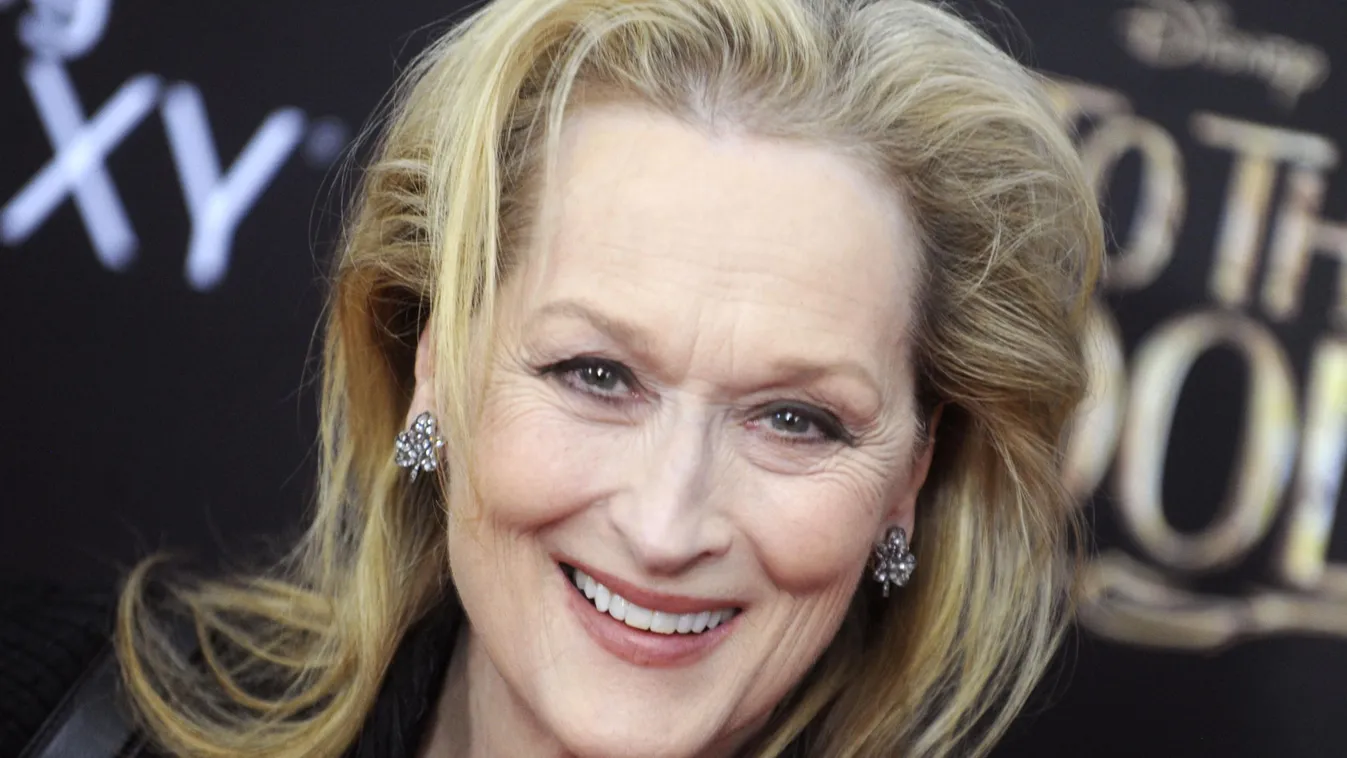 Meryl Streep, Vadregény premier 