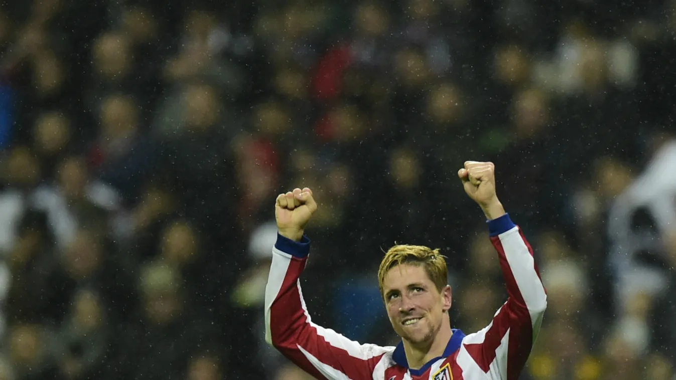 fernando torres atlético madrid 