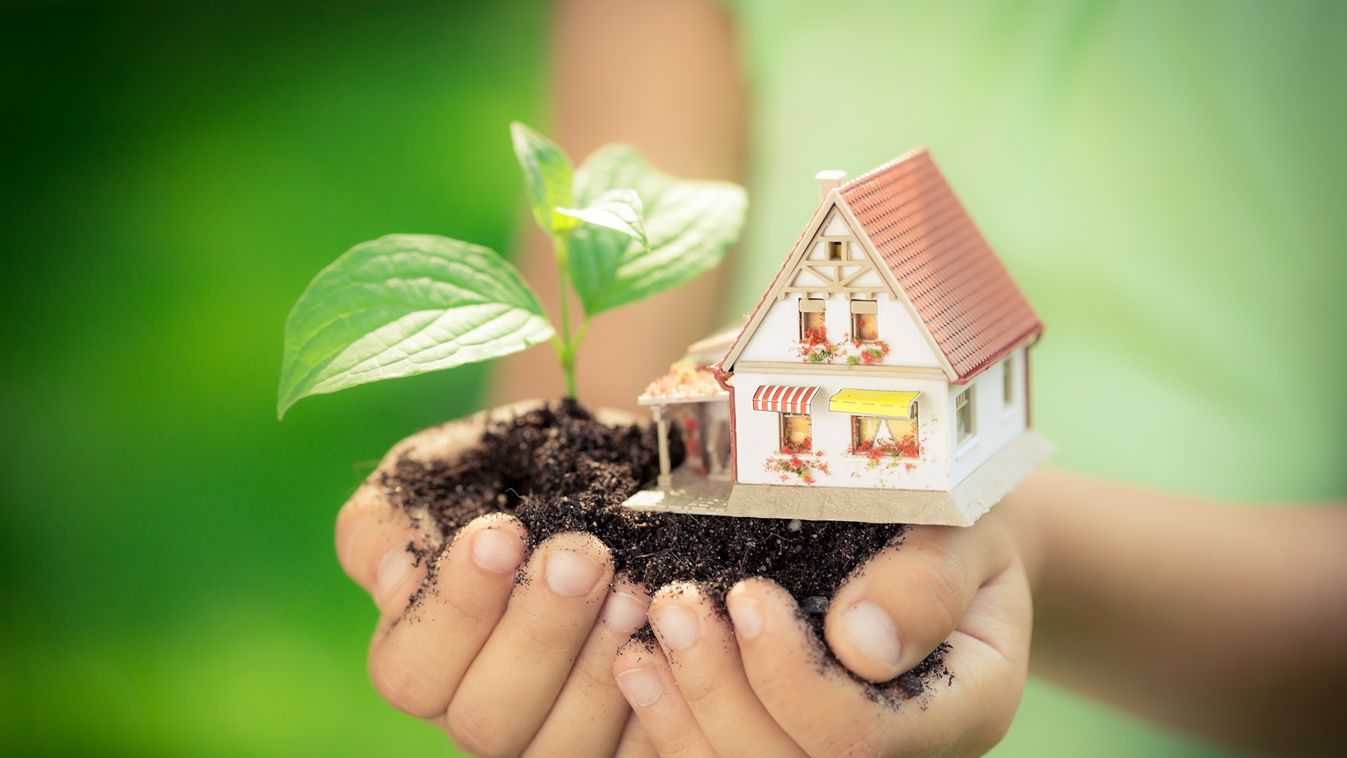Apró tippek, hogy fenntarthatóbb és környezetbarátabb legyen az otthonod környezettudatos háztartás 