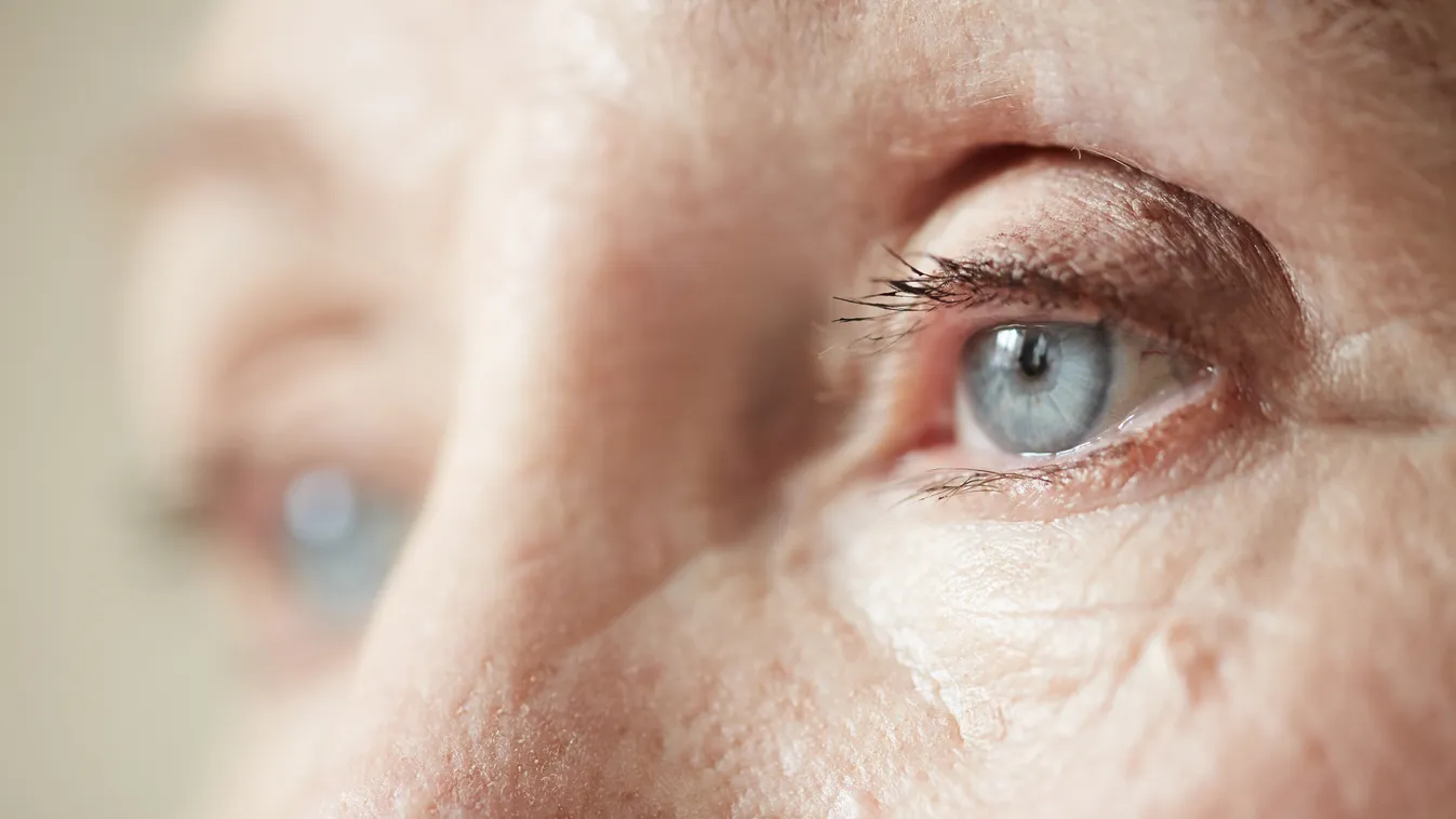 idős öreg nő ránc nagymama kék szem 