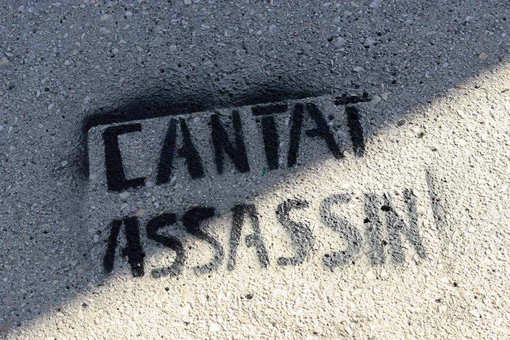 Rády Krisztina, Bertrand Cantat francia rockénekes, gyilkosság 