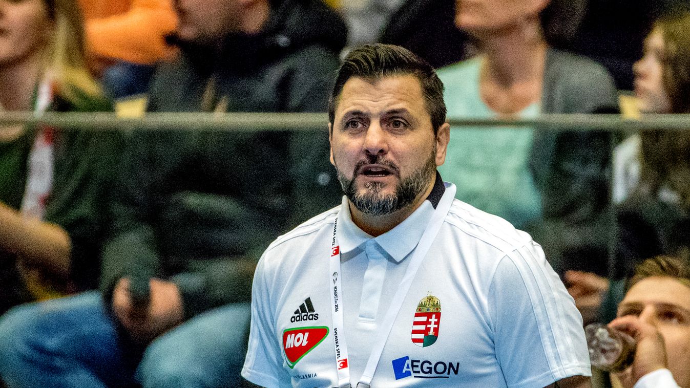 Landskamp handboll Sverige Ungern handball Horizontal BUST HEADSHOT Ljubomir Vranjes 