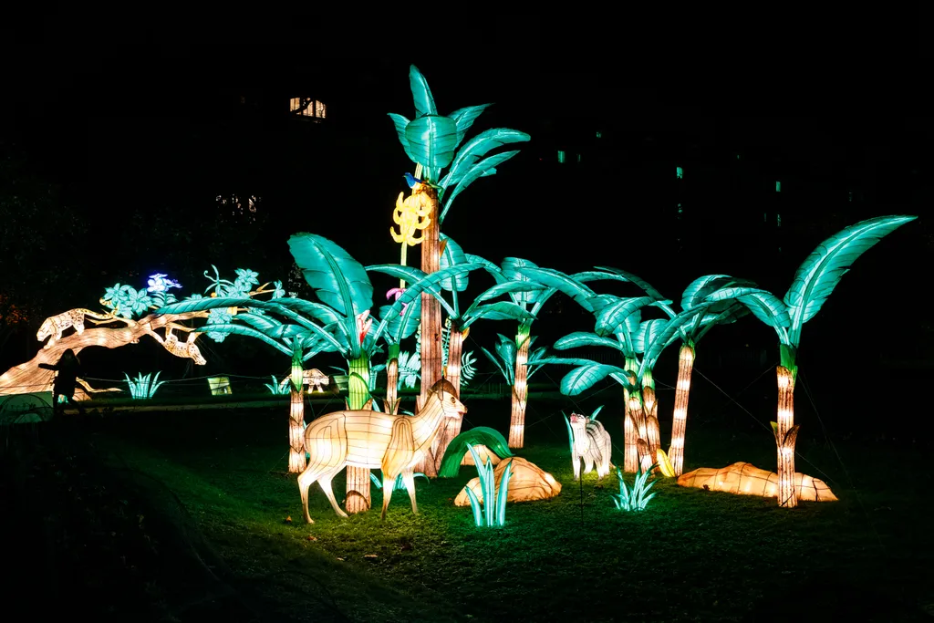 Jardin, des, Plantes, Párizs, Franciaország, fényfestés, 2023.11.17., 