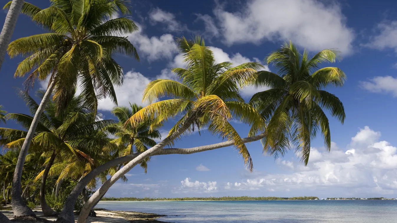 Utazás, Egy sziget, ahová mindig is vágytál: Palmerston, Cook szigetek 