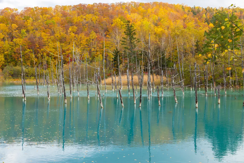 Siragone kék tó Shiragone Blue Pond 