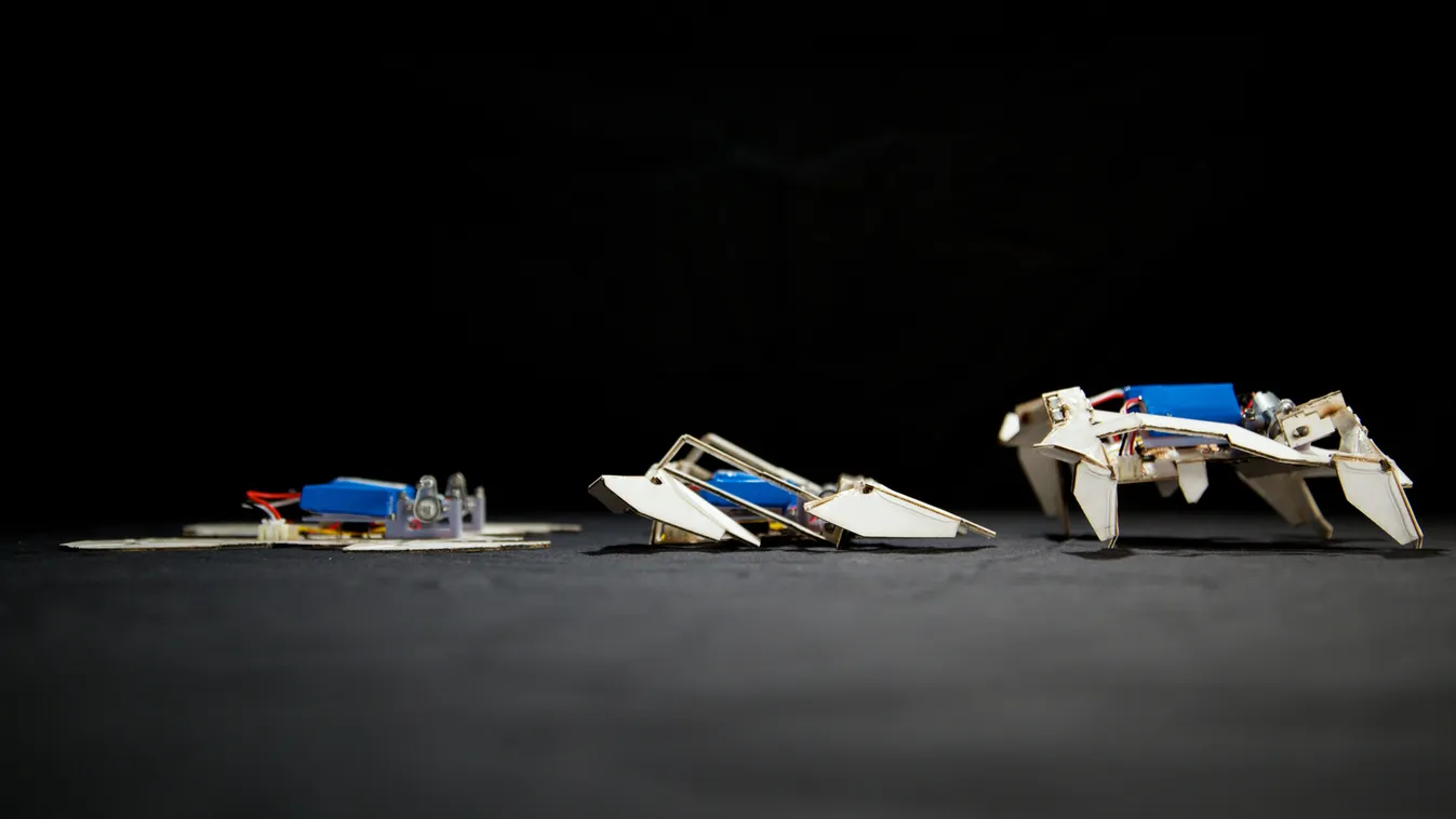 Origami-robotok 