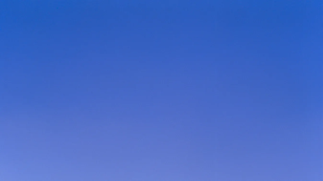 elsivatagosodás Single cork tree near Albacete, La Mancha, Spain, Europe albacete blue sky clear sky color image copy space cork tree day DESERT ENVIRONMENT EUROPE la mancha LANDSCAPE lonely MOUNTAIN RANGE nature nobody outdoors photography 