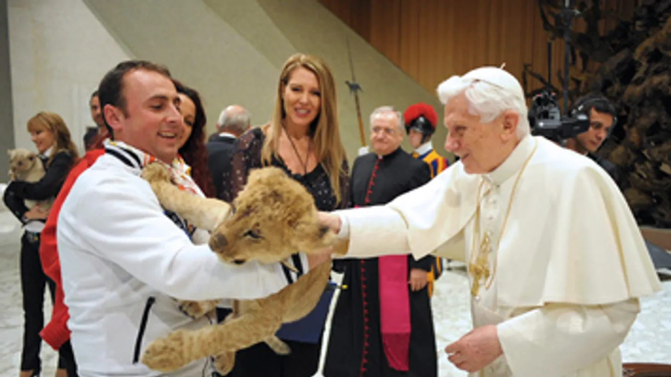 Pápai audencián a cirkuszvilág képviselői