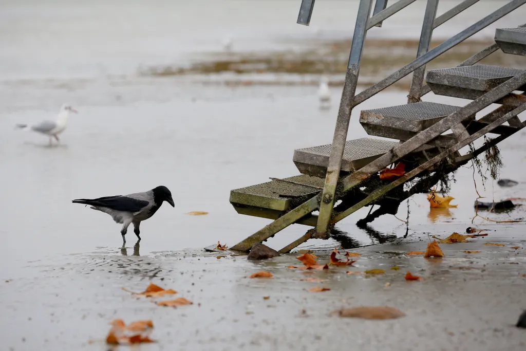 Kibillent a Balaton a viharos szélben 