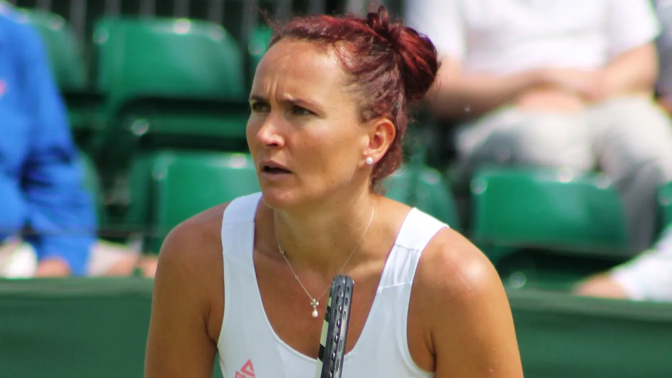 Marosi Katalin, Wimbledon 2013, tenisz 