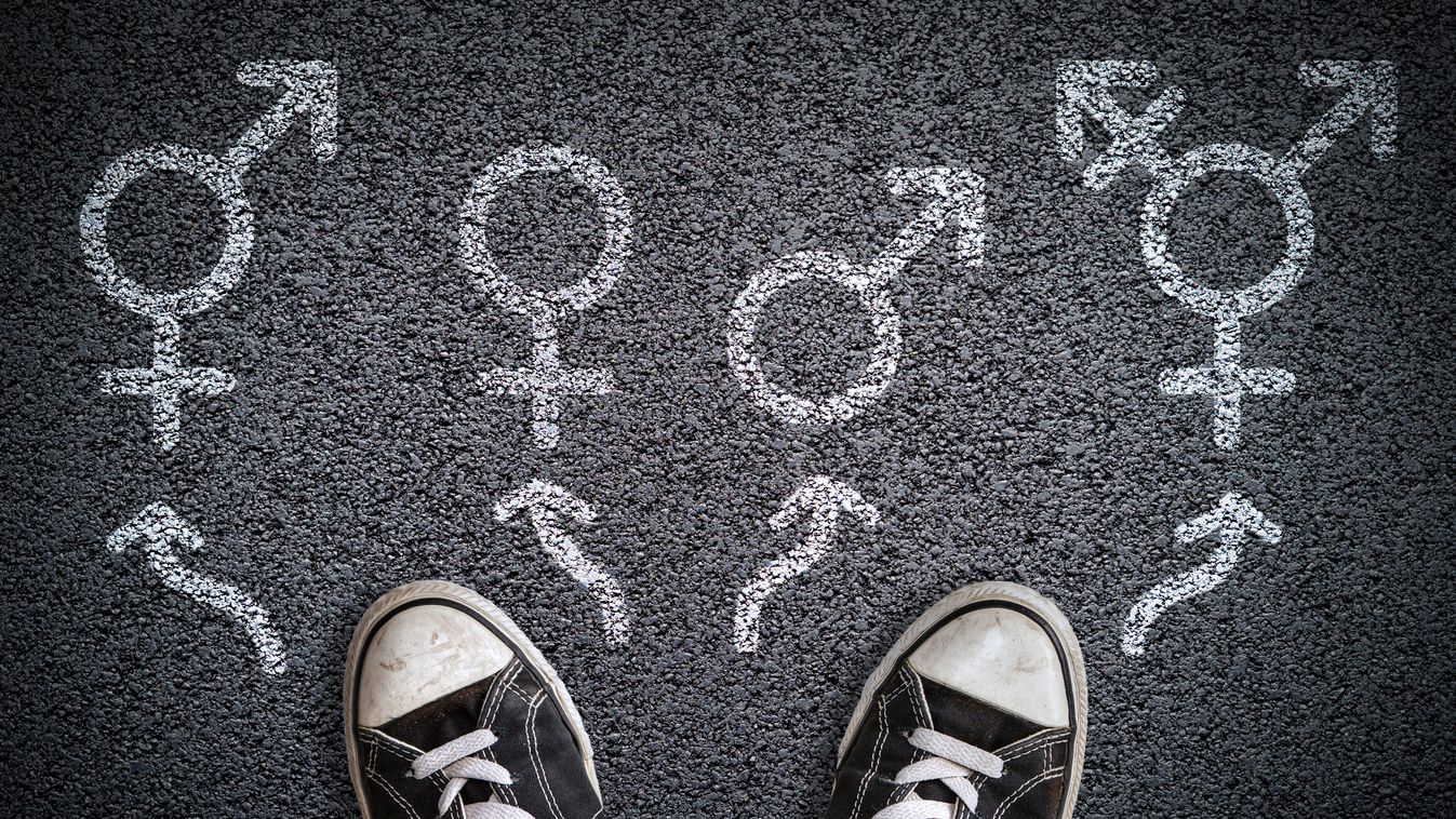 Gender,nemek,LMBTQI 